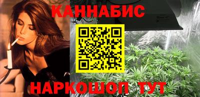 крисы Камышлов
