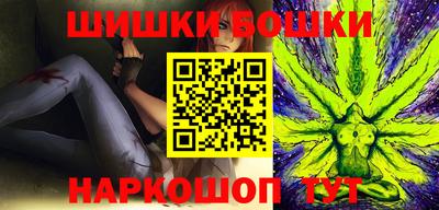 крисы Камышлов