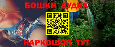 крисы Камышлов
